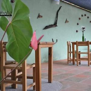 Habitación Estándar con Cama King